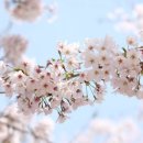 문경(창원) 이미지