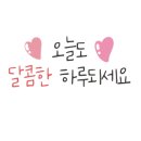 책방느리게 이미지