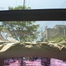 썬모터스 이미지