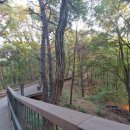 서창2동-21 이미지