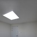 우성동백 이미지