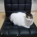 재밌는마켓