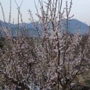 솔바우농장 이미지