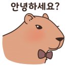 step 복싱 이미지