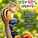 장단 맞추는 것과 동조하는 것은 어떻게 다른가 이미지