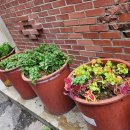 군자경로당 이미지