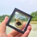 큐알코드까지! 황동과 최고급 써지컬 스틸로 맞춤제작한 '미르시대 반려견 인식표 목걸이'후기