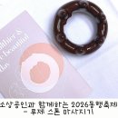 함께하는 동행 | 소상공인과 함께하는 2026 동행축제 - 루제 스톤 마사지기 후기