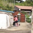 수지면 산촌마을 이미지