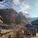 01-24 동구 이미지