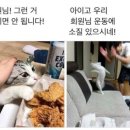 엠크루 이미지