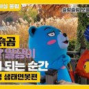사회적협동조합 남도함께 이미지