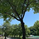 단촌정기시장 | [의성] 고운사 근처 단촌 신상카페 “구계밀리 gugyemilli&#34; 🏡