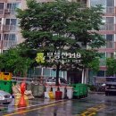 오목로 4 이미지