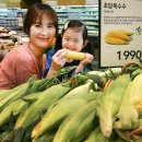 초당 이미지