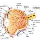 도안동물병원 이미지