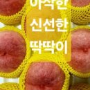 수진농장 이미지