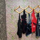 진성장어 이미지