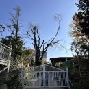 베가스테이 이미지