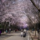 수양쉼터화장실 이미지