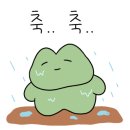 풀내음카페
