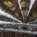 재일농장 이미지