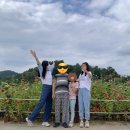 밀양경찰초동분소 | 연휴일상 _ 먹고자고 먹고자고 가끔산책 (밀양 산책 스팟)