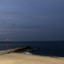 세븐일레븐 주문진도깨비점 이미지