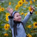 상판리 마을회관 이미지