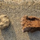 재삼농장 이미지