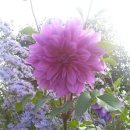 이천한사랑의원 이미지