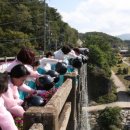 평화통일염원축제 이미지