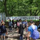 대석2리 상촌계곡 이미지