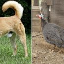 고센시스템 이미지