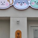 디자인한우물