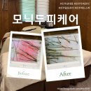 모닉 | 진주 두피관리, "모닉두피케어" 두피 뇌파 촉진 관리받은 후기
