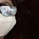 2020부산비엔날레, 개인적인 영도 전시장 후기 (+BNK 부산은행)