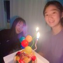 우다다애견 이미지