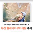 11개월 아기 부천 아쿠아리움 후기, 아이와 실내 나들이이 추천!