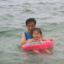 경포의하루 이미지