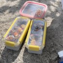 고봉민김밥인회룡역점