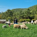 구령목장 이미지