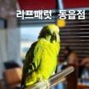리프패럿동읍점