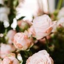 염소자리 이미지