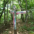 쌍지보건진료소 이미지