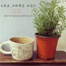 아틀리에 정