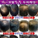 큐사랑팡팡