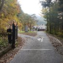 가평 오거리 이미지