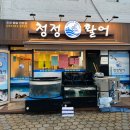 활어마을 | 일산회포장 후곡마을횟집 청정활어 후곡점 포장 배달전문점