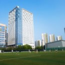 동명근린공원(축구장) 이미지